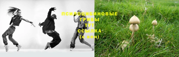 винт Богородск